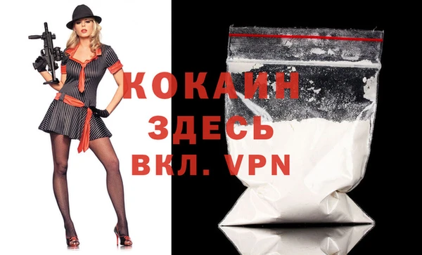 индика Аркадак