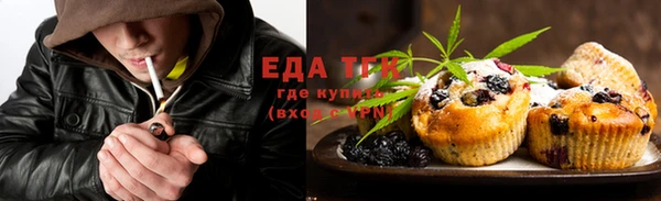 индика Аркадак