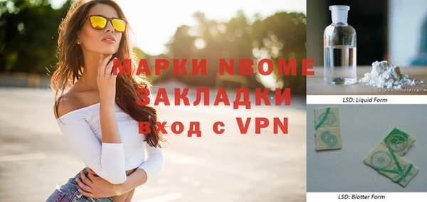 индика Аркадак