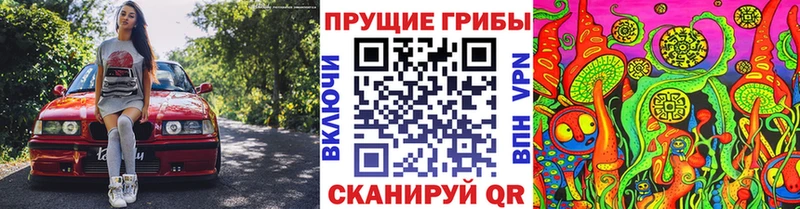 Псилоцибиновые грибы ЛСД  Уяр 